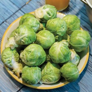 Marte Brussels Sprouts Thumbnail